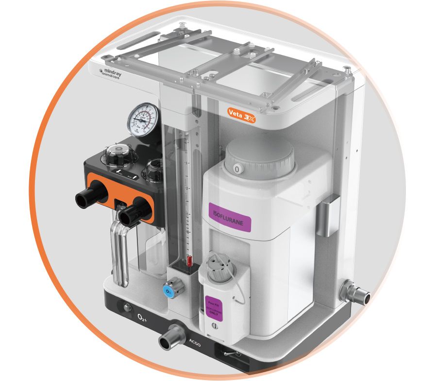 Maquina de Anestesia para Uso Veterinario mod. Veta 3X con Vaporizador de Isoflurano