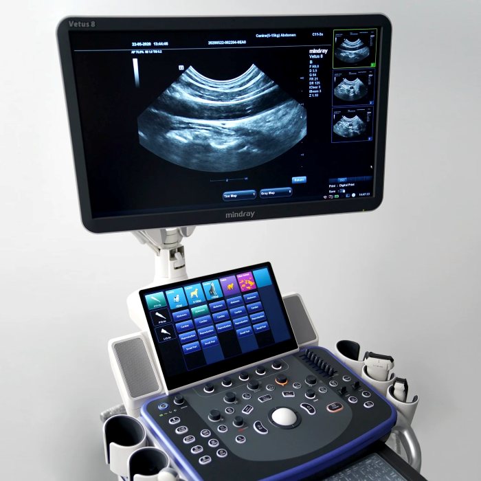 Ultrasonido Veterinario de Gabinete para Diagnostico mod. Vetus 8 con Monitor HD de 23.8" con Rotacion de 180°