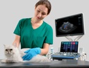 Ultrasonido Veterinario de Gabinete para Diagnostico mod. Vetus 8 con Monitor HD de 23.8" con Rotacion de 180°