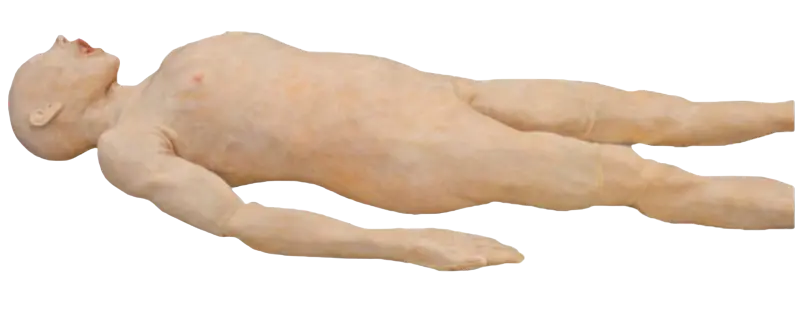 image-removebg-preview (15).webp