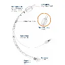 Tubo endotraqueal ventiseal con globo_1.webp