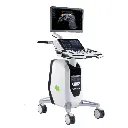 Vinno_R300_Ultrasonido_1.webp