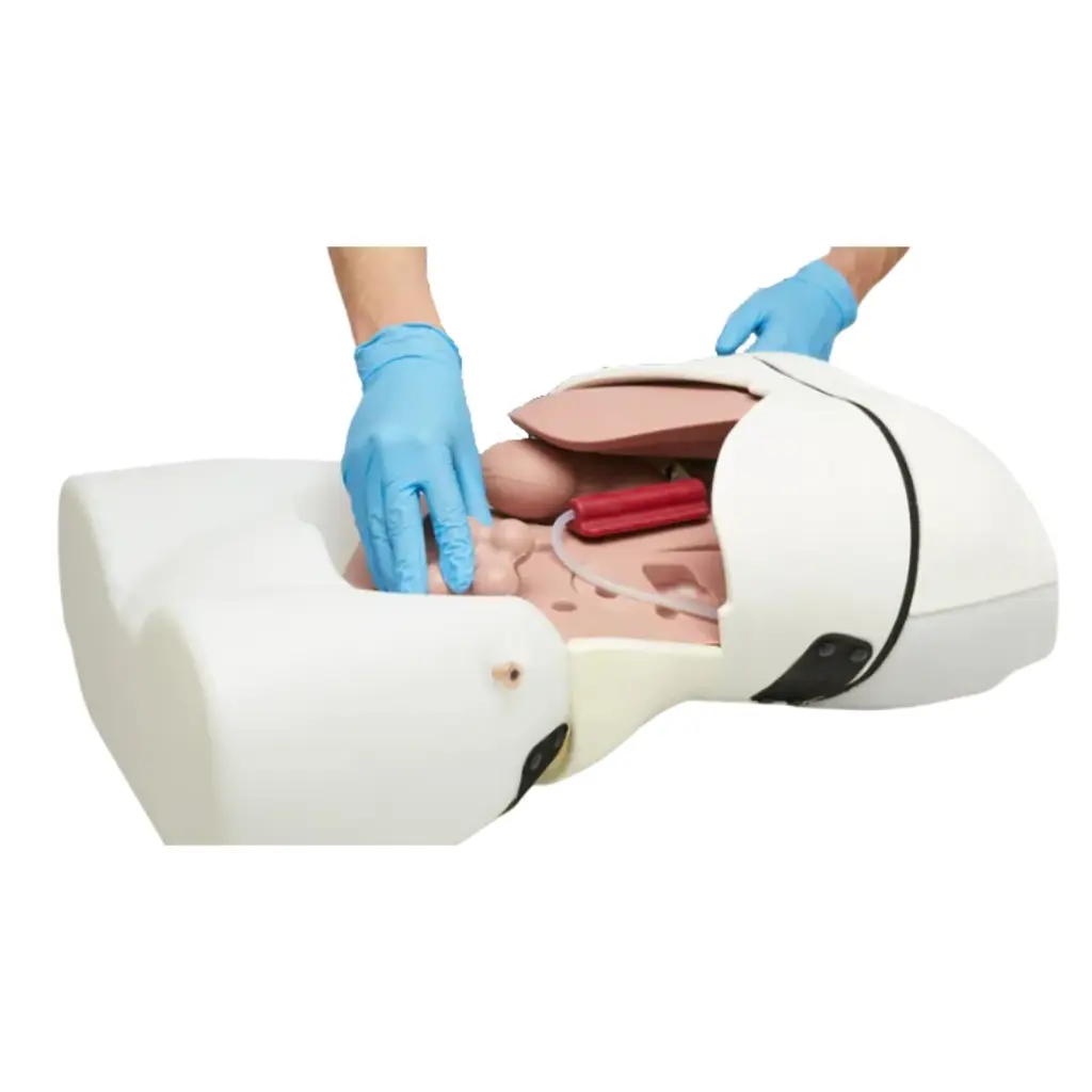 Entrenador de examinación abdominal 60000 (2).webp