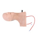 Maniquí de Torso Adulto para Entrenamiento de Inserción Catéter Venoso Mod. TruCVC