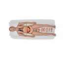 Maniquí para entrenamiento para enfermería