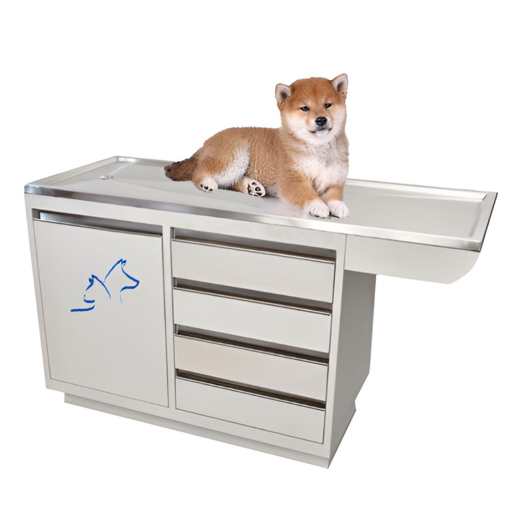 Mesa de Exploracion Veterinaria mod. Grand+ con Cubierta de Acero Inoxidable 304 y Cuerpo Esmaltado 