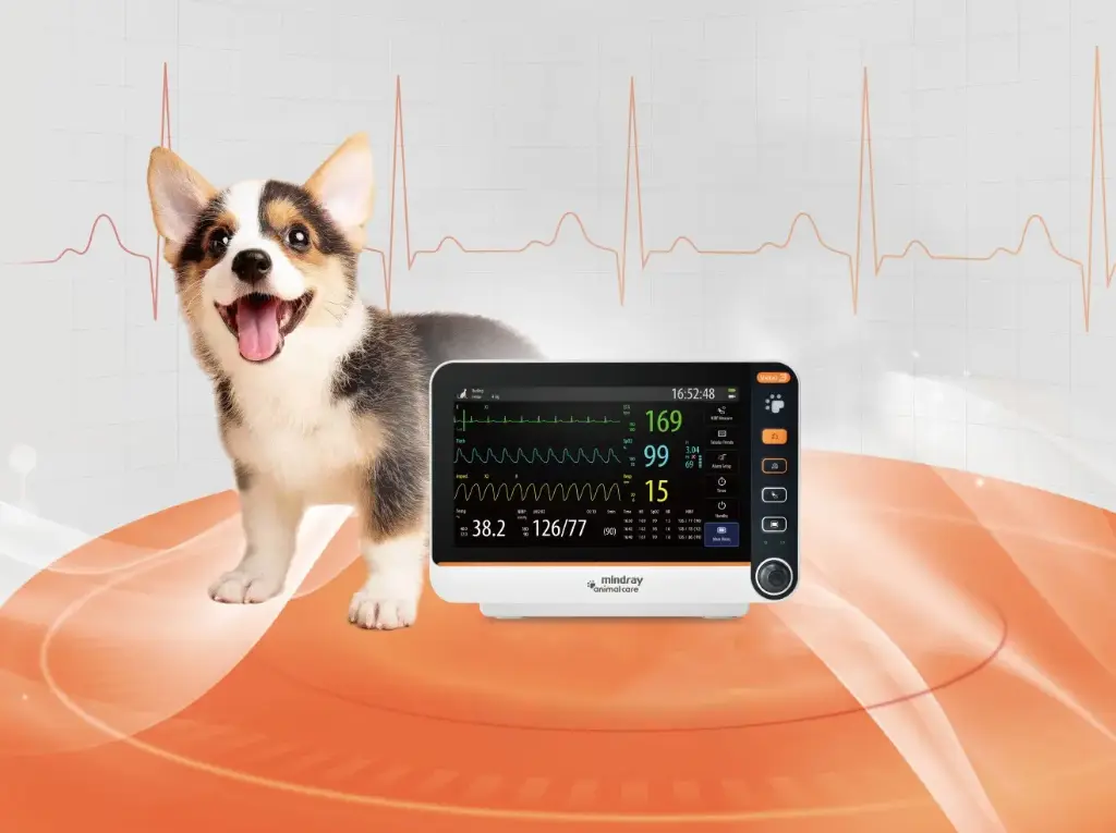 Monitor Veterinario Portatil para Signos Vitales Vetal 3 (AM01B-PA0002A) 