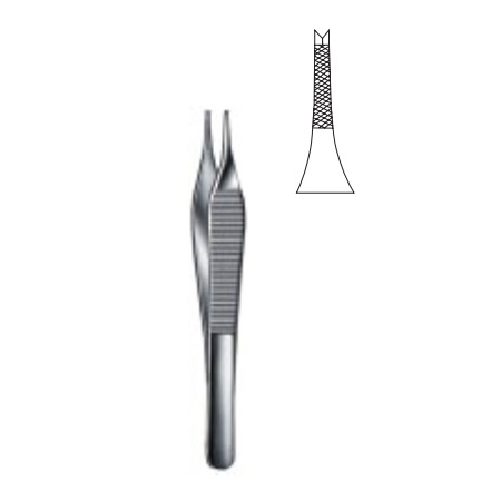 Pinza adson  con dientes 1x2