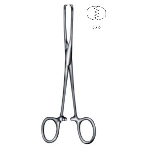 Pinza allis intestino de 24cm con dientes 5x6