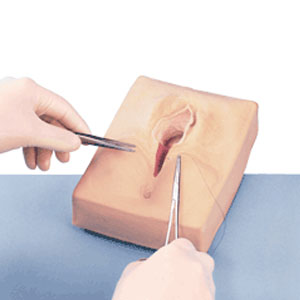 Simulador de sutura medio lateral Cat. NAS-LF00693U Marca Nasco