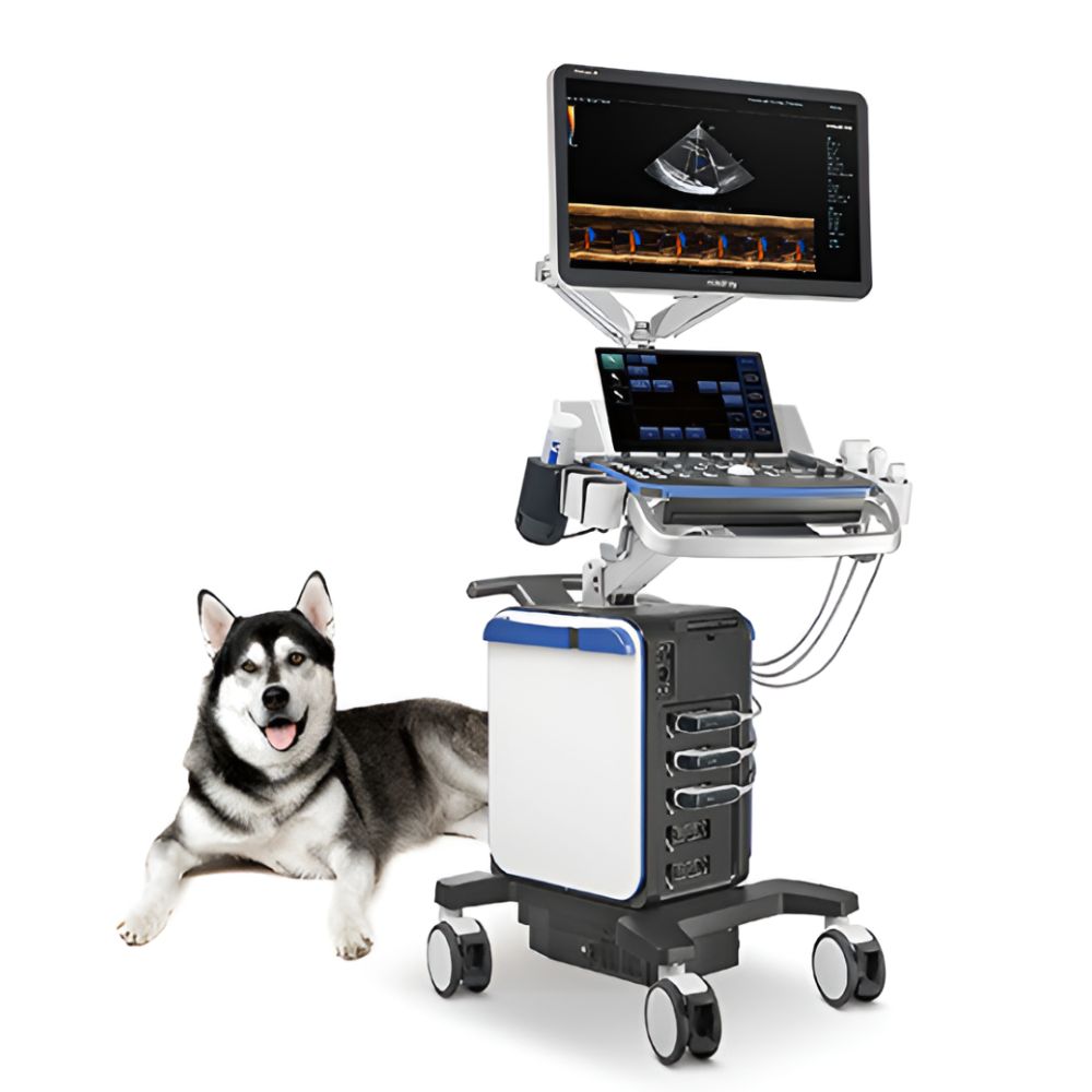 Ultrasonido Veterinario de Gabinete para Diagnostico mod. Vetus 8 con Monitor HD de 23.8" con Rotacion de 180°