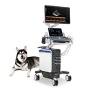 Ultrasonido Veterinario de Gabinete Mod. Vetus 8 con Monitor HD de 23.8" con 2 transductores