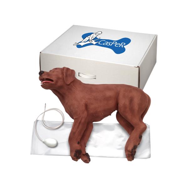 Maniqui de perro RCP modelo Casper