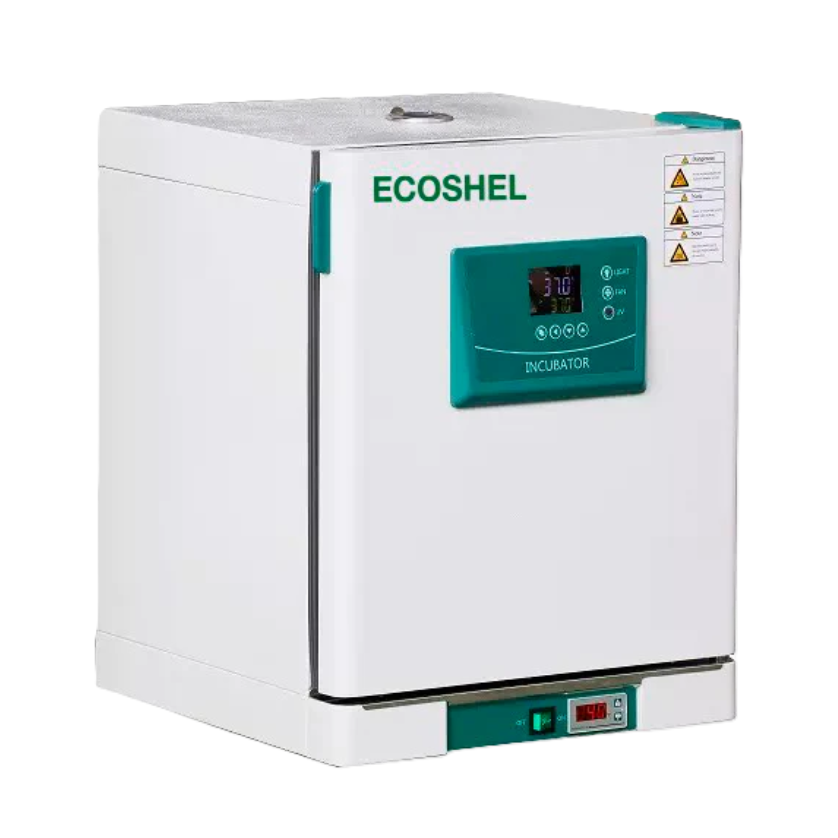 Incubadora de temperatura constante de 63L Mod.9165