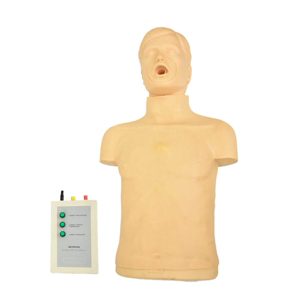 Maniquí de medio cuerpo para entrenamiento RCP y obstrucción