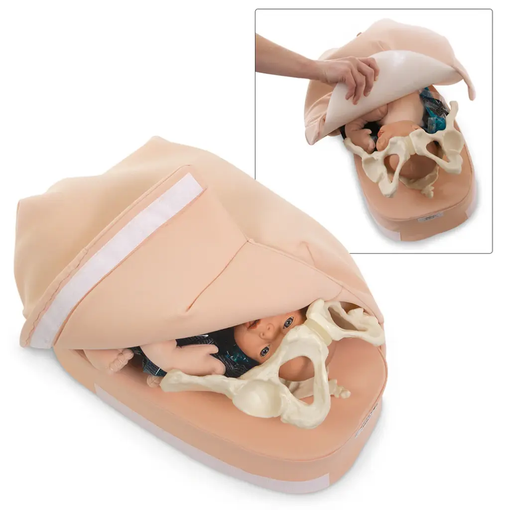 Modelo de Palpación Abdominal