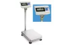 Bascula de plataforma Industrial - 330 lbs x .1 lb 