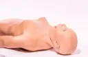 Humano sintético quirurgico, híbrido G2 Modelo femenino