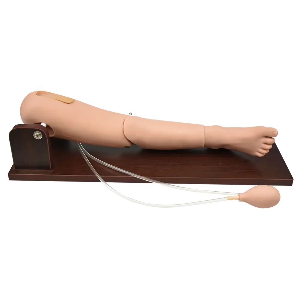 Simulador de extraccion de sangre en el femoral y puncion en la medula