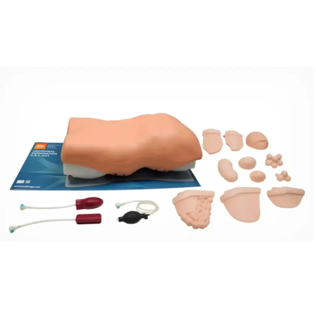 Entrenador de examinación abdominal