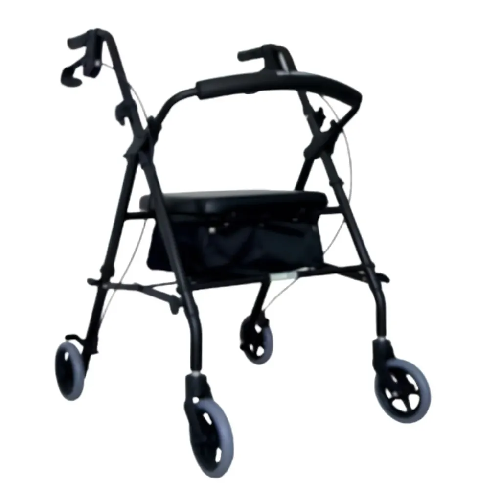 Andadera rollator KD azul