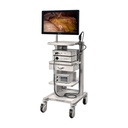 Torre para laparoscopia Full HD modelo HD3 con función de grabación incorporada monitor de 27" 