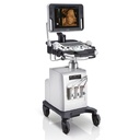 Ultrasonido de gabinete Full HD Monitor 21.5" mod. DC30 con 2 transductores Endocavitario+Volumetrico