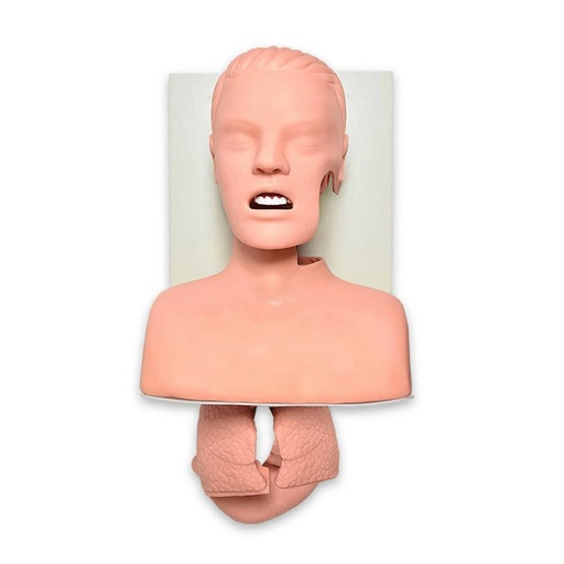 [ZEG-AIR-AVA] Simulador avanzado para entrenamiento de intubacion de las vias aereas