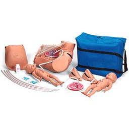 Simulador de parto pelvis 