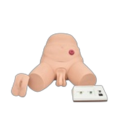 [ZEG-SIM-CAT-ENE-E] Simulador electrónico para entrenamiento de cateterismo y enema bisexual