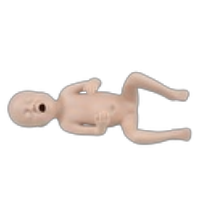 [ZEG-PREM-30] Modelo de recién nacido prematuro 30 semanas