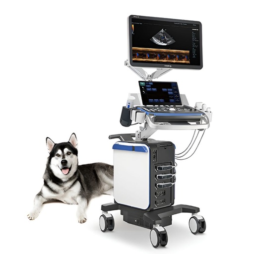 Ultrasonido Veterinario de Gabinete Mod. Vetus 8 con Monitor HD de 23.8" con 2 transductores