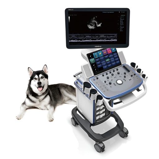 [MAC-VETUS5] Kit de Ultrasonido veterinario de gabinete para diagnostico Monitor LED de alta resolución de 21.5'' + Transductor microconvexo (6C2)