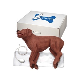 Maniqui de perro RCP modelo Casper