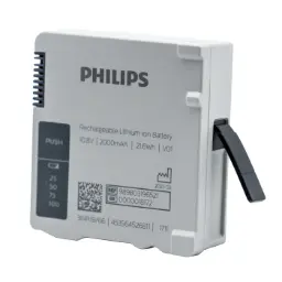Batería de iones de litio X3/MX100