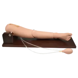 Simulador de extraccion de sangre en el femoral y puncion en la medula