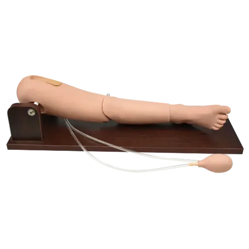 Simulador de extraccion de sangre en el femoral y puncion en la medula