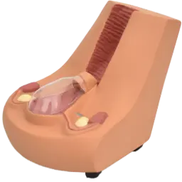 Modelo de formación de dispositivo intrauterino