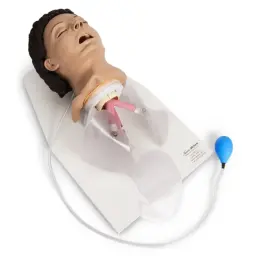 Entrenador para el manejo de las vias respiratorias para adultos Life/form® con soporte