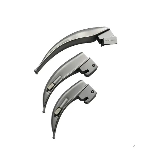 Hoja curva Macintosh #5 adulto extra grande, 173mm