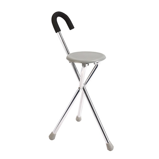 Baston con Asiento Color Plata
