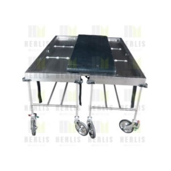 Carro camilla tipo transfer acero inoxidable (lateral) cubierta fabricado con lamina de acero inoxidable en Cal 20 medidas 191x62x85 cm (dos carros)