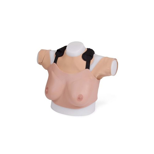 [LTH-40201] Chaleco entrenador avanzado para examinación de pecho (tono de piel claro)