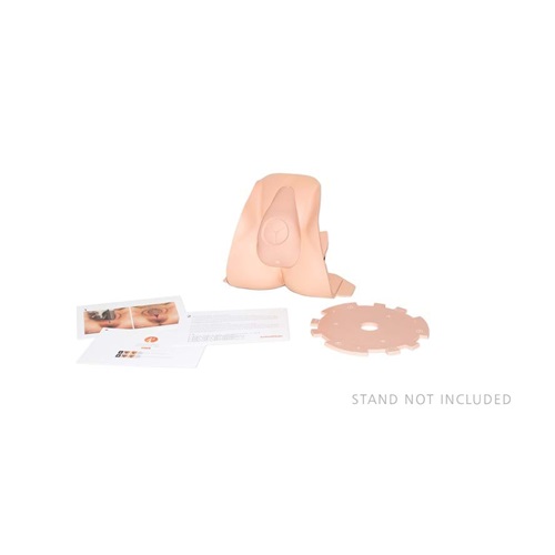 [LTH-61104] Módulo de Episiotomía (tono de piel claro)