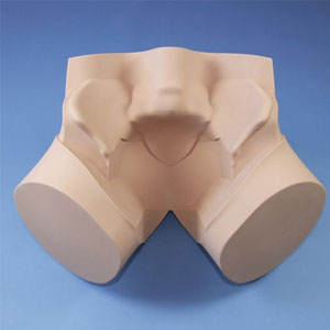 Entrenador pelvico mujer Cat. LTH-60900 Marca Limbs and Things Cat. LTH-60900 Limbs and Things